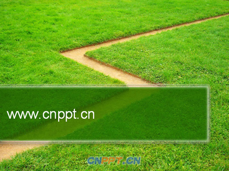 绿色草地PPT背景图片