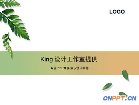个人简介PPT
