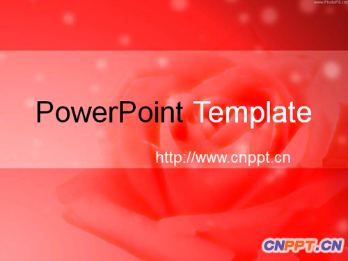 红色爱情PPT模板下载